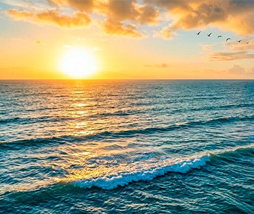 Força para Cada Nova Manhã